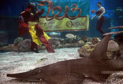 Thợ lặn và nàng tiên cá hôm qua biểu diễn bên tấm biển chào mừng năm mới trong một bể nước tại công viên hải dương ở Manila. Thợ lặn và nàng tiên cá hôm qua biểu diễn bên tấm biển chào mừng năm mới trong một bể nước tại công viên hải dương ở Manila
