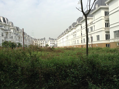 Cỏ dại che kín lối đi, cả khu đô thị như thành phố ma ám 