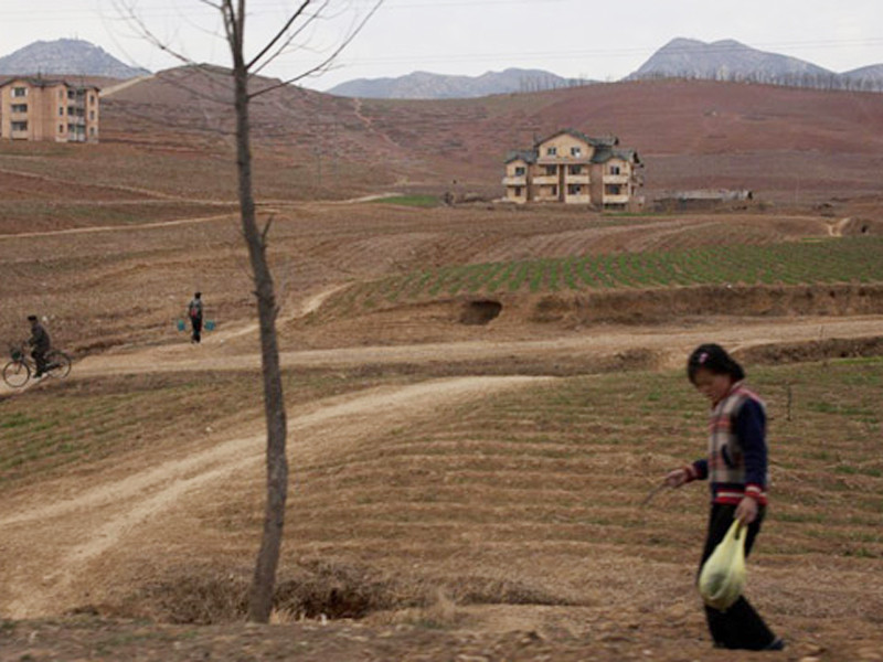 Ngoại ô phía nam Bình Nhưỡng