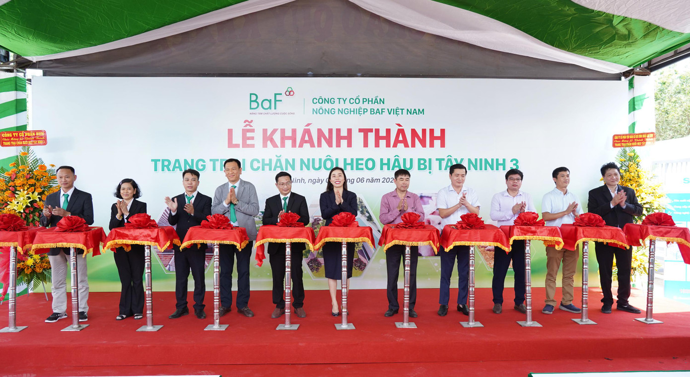 Ban Lãnh đạo Công ty BaF thực hiện nghi thức cắt băng khánh thành trang trại chăn nuôi heo hậu bị Tây Ninh 3 Ban Lãnh đạo Công ty BaF thực hiện nghi thức cắt băng khánh thành trang trại chăn nuôi heo hậu bị Tây Ninh 3