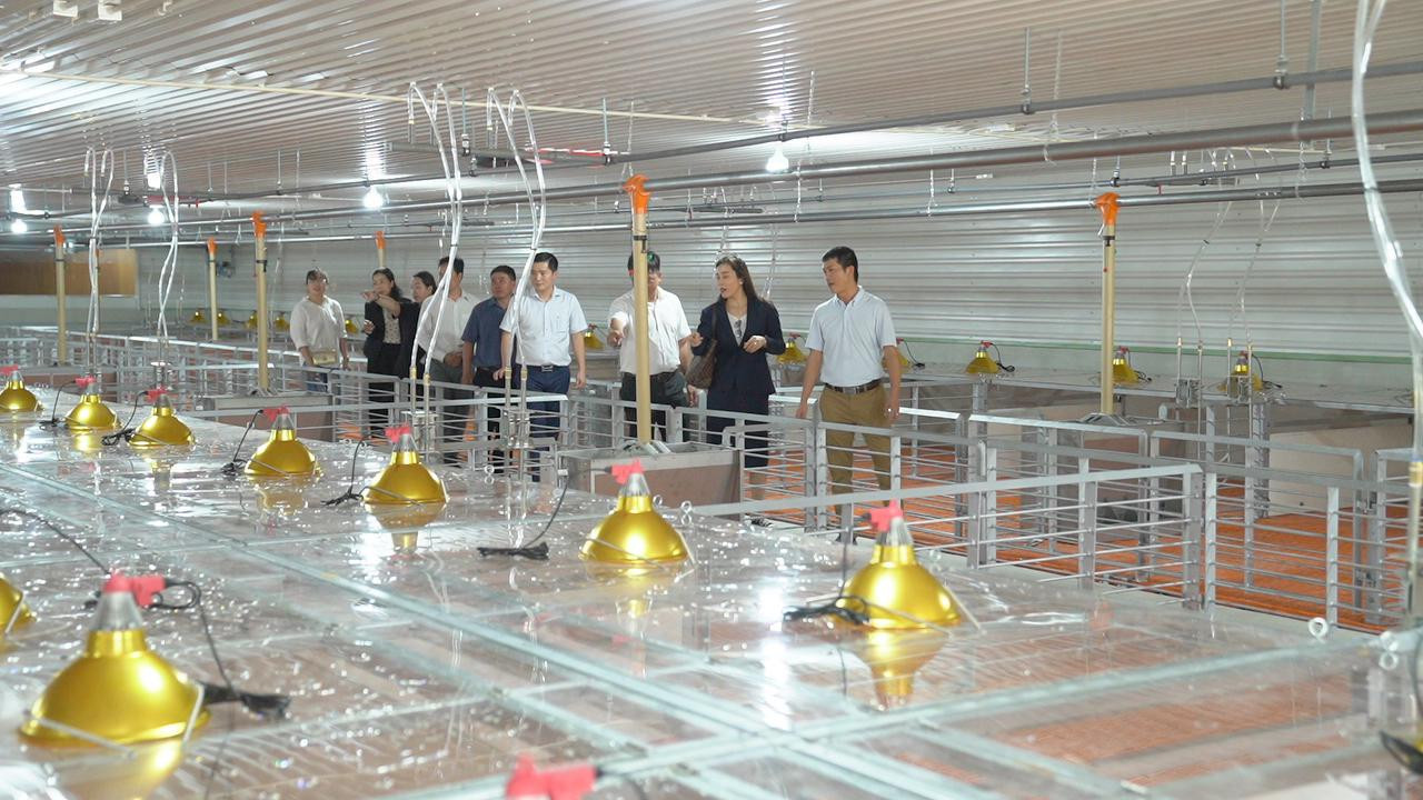 Khách mời tham dự lễ khánh thành tham quan trang trại chăn nuôi heo hậu bị Tây Ninh 3 Khách mời tham dự lễ khánh thành tham quan trang trại chăn nuôi heo hậu bị Tây Ninh 3