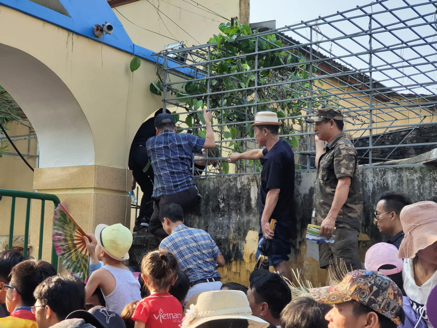 Vạn người chen lấn, xô đẩy xem chọi trâu Đồ Sơn ảnh 4