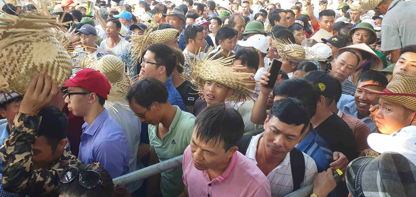 Vạn người chen lấn, xô đẩy xem chọi trâu Đồ Sơn ảnh 2