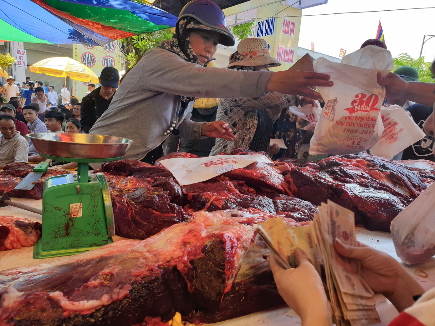 Ngất ngưởng giá thịt trâu chọi Đồ Sơn ảnh 9