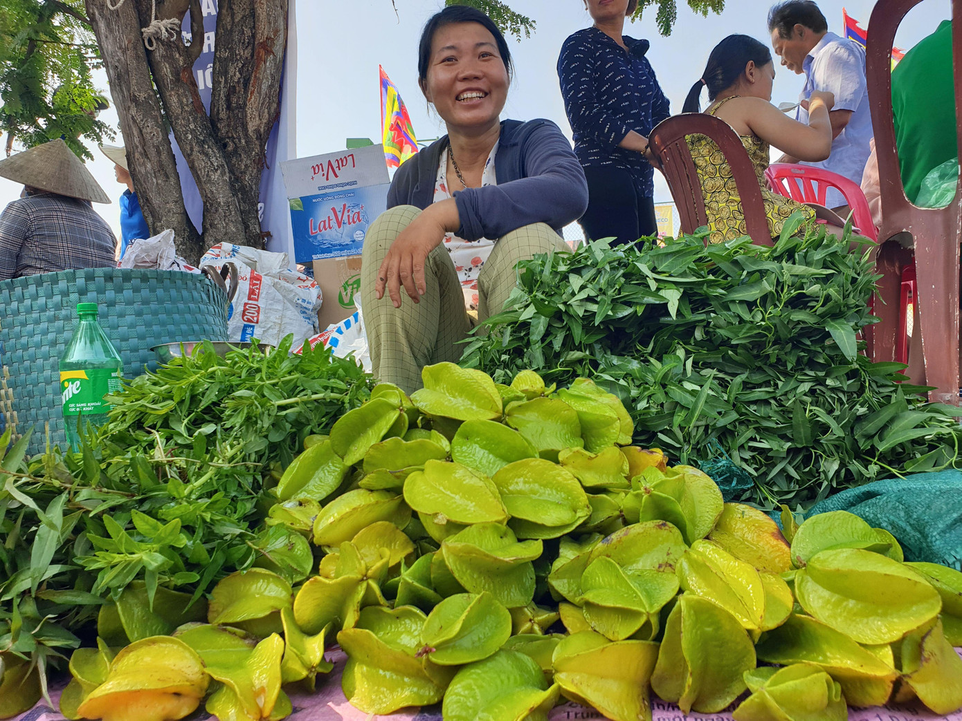 Ngất ngưởng giá thịt trâu chọi Đồ Sơn ảnh 7