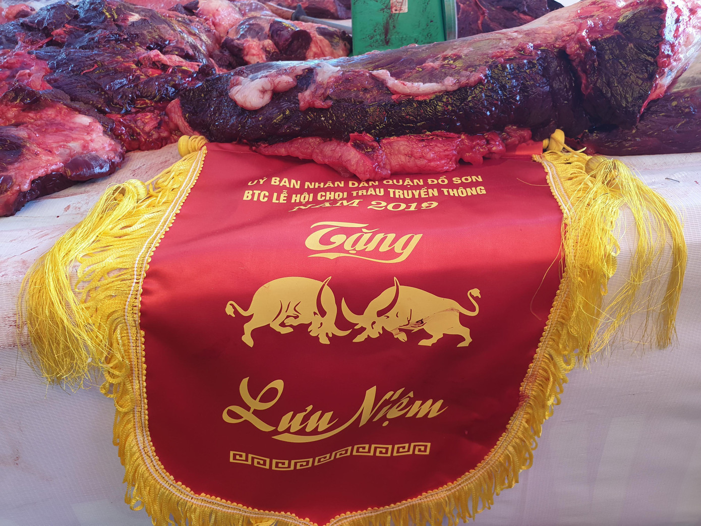 Ngất ngưởng giá thịt trâu chọi Đồ Sơn ảnh 5