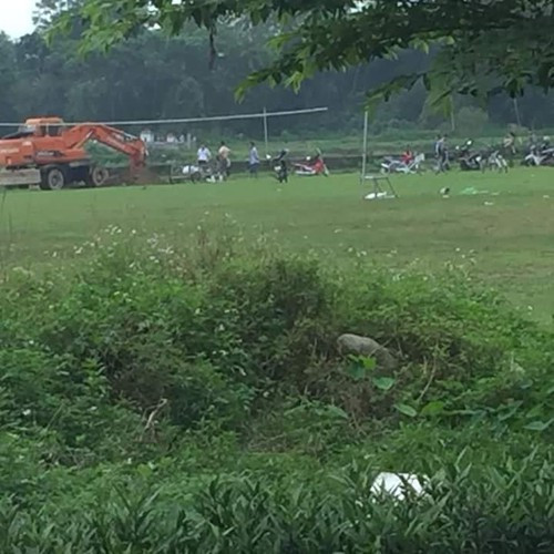 Hãi hùng, Chủ tịch xã chỉ đạo chôn lợn chết ngay trong sân bóng ảnh 1