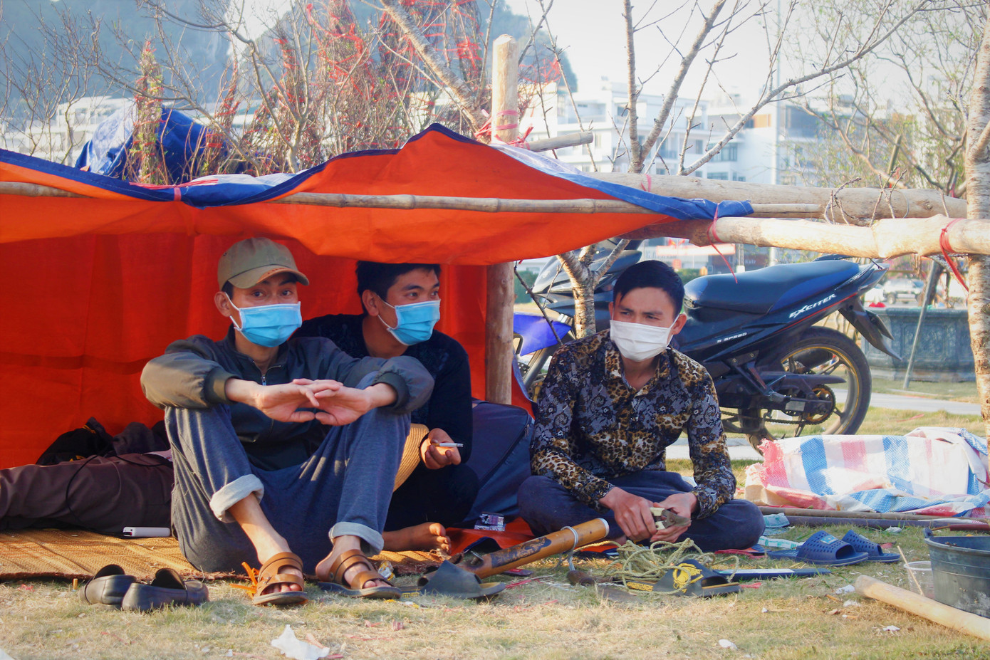 Đào quất ế ẩm, tiểu thương ở TP. Hạ Long mòn mỏi ngóng khách đến mua ảnh 7