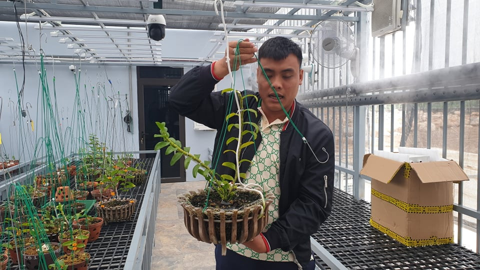 Bùi Hoàng Giang cùng chậu lan var tiền tỷ trước khi bị bắt Bùi Hoàng Giang cùng chậu lan var tiền tỷ trước khi bị bắt