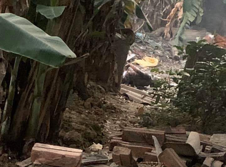 Phát hiện thi thể người đàn ông nghi bị giết rồi đốt xác trong thùng phuy ảnh 1