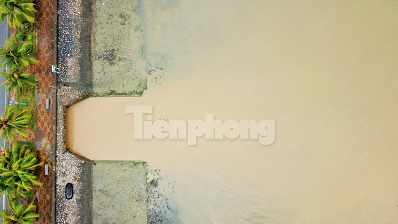 Vịnh Hạ Long 'đổi màu' sau mưa lớn ảnh 7