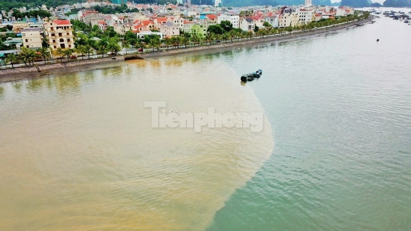 Vịnh Hạ Long 'đổi màu' sau mưa lớn ảnh 8