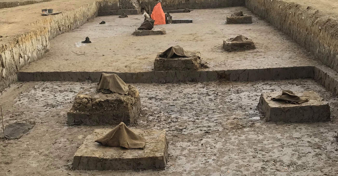 Phát hiện bãi cọc nghìn năm tuổi ở Hải Phòng ảnh 2