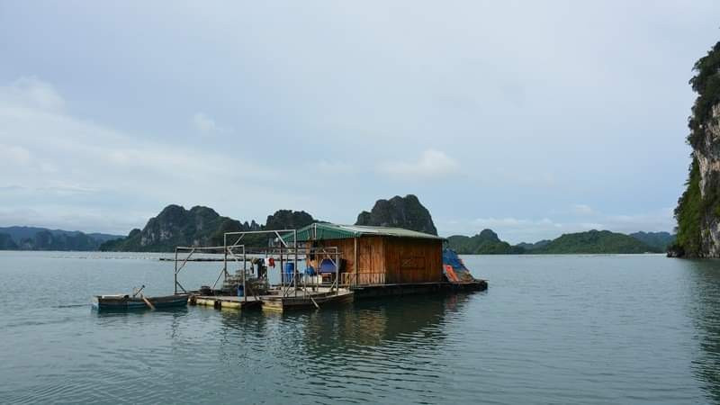 Bắt sới bạc ở Vân Đồn, nhiều đối tượng nhảy xuống biển thoát thân ảnh 2