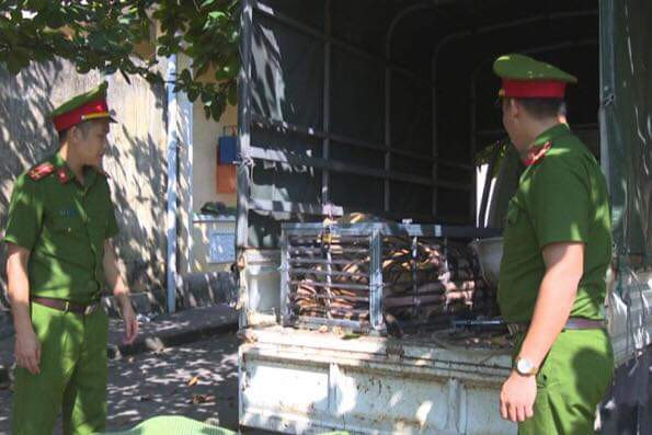 Bắt quả tang 2 đối tượng chở hổ từ Nghệ An về Quảng Ninh để nấu cao ảnh 1