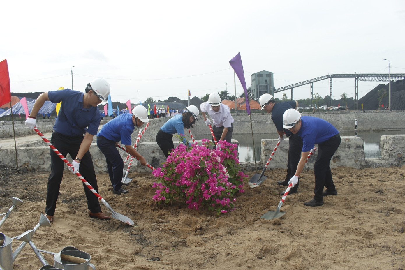 Tuổi trẻ ngành than hưởng ứng Ngày môi trường thế giới ảnh 3