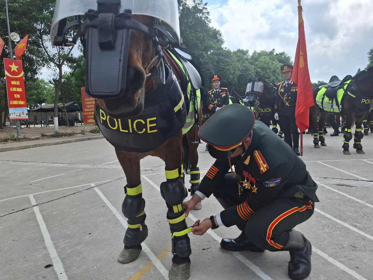 Ngựa nghiệp vụ được trang bị giáp, thiết bị bảo hộ chân Ngựa nghiệp vụ được trang bị giáp, thiết bị bảo hộ chân