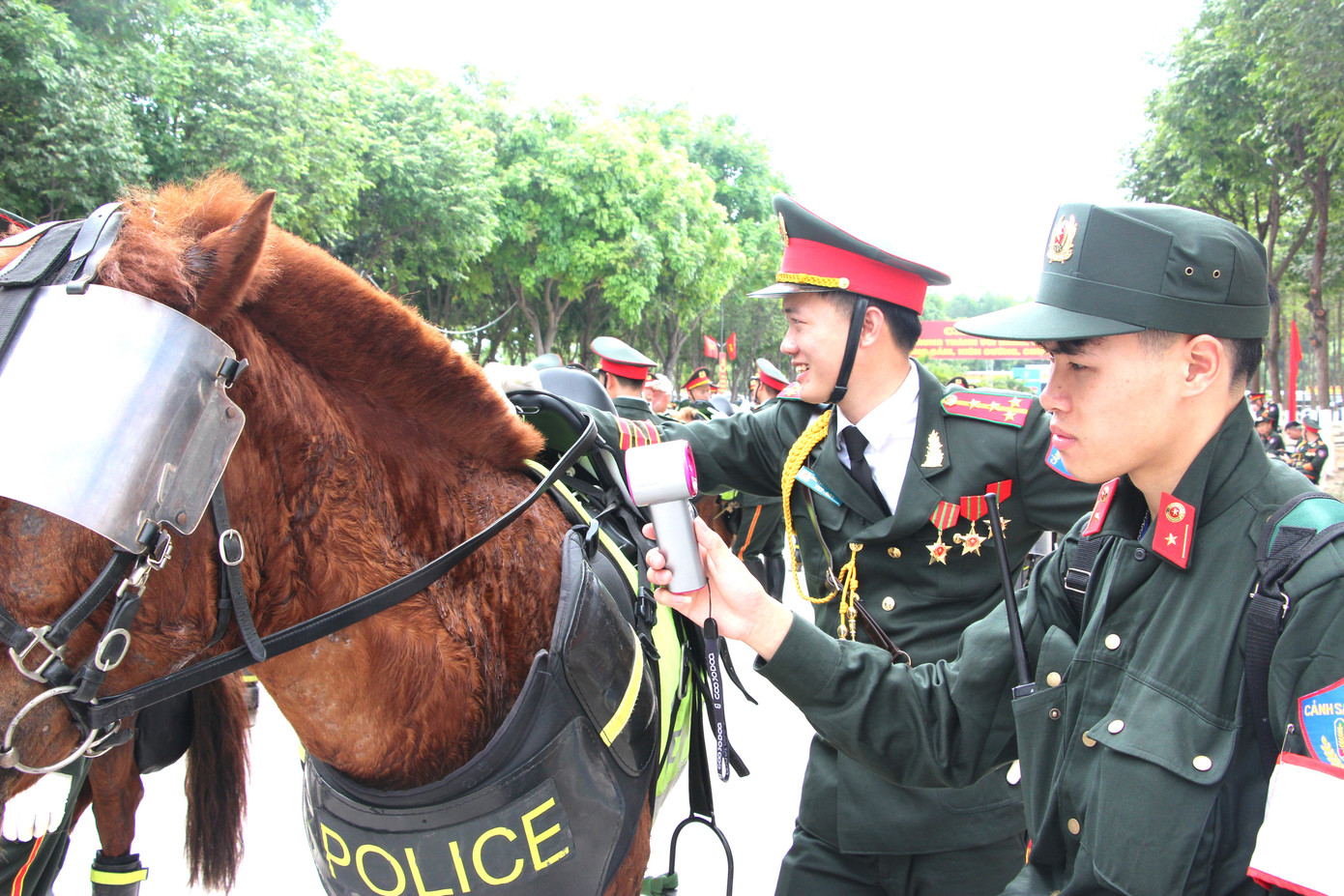 Ngựa được các chiến sĩ chăm sóc, quạt mát do thời tiết nắng nóng Ngựa được các chiến sĩ chăm sóc, quạt mát do thời tiết nắng nóng