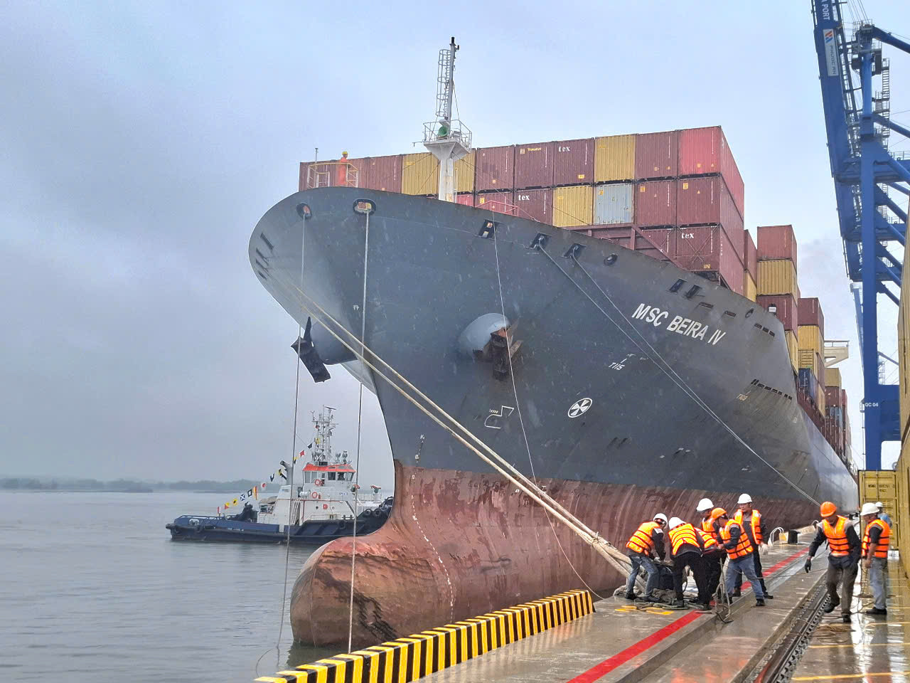 Tàu chở container của hãng tàu MSC cập cảng Phước An sáng 13/2. Tàu chở container của hãng tàu MSC cập cảng Phước An sáng 13/2.