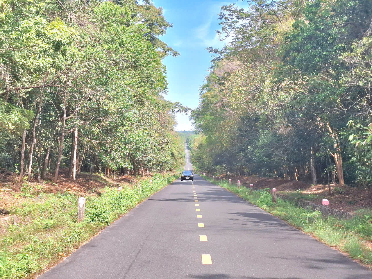Tuyến đường xuyên rừng Khu bảo tồn thiên nhiên văn hóa Đồng Nai dài hơn 30km Tuyến đường xuyên rừng Khu bảo tồn thiên nhiên văn hóa Đồng Nai dài hơn 30km