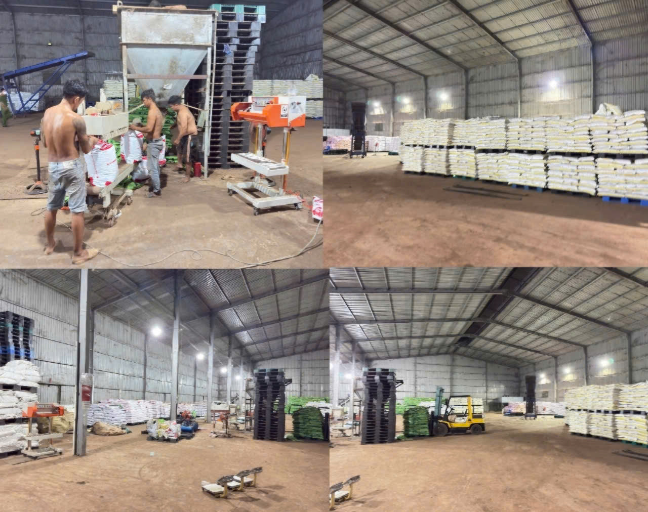 Nhà xưởng và công nhân đang sản xuất, đóng gói phân bón giả Nhà xưởng và công nhân đang sản xuất, đóng gói phân bón giả