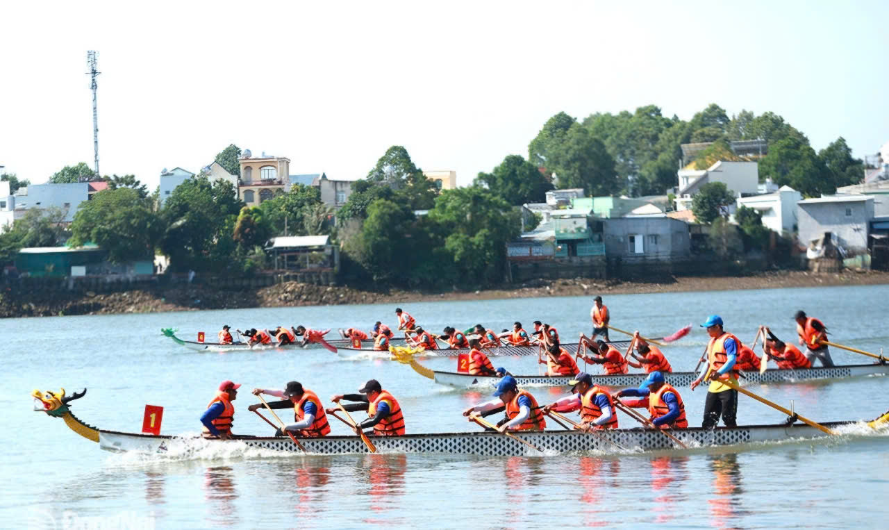 Các CLB tham gia đua thuyền trên sông Đồng Nai Các CLB tham gia đua thuyền trên sông Đồng Nai