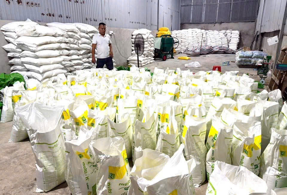 Phân bón sau khi phối trộn được đóng bao bì in đã nhãn mác đưa ra thị trường tiêu thụ Phân bón sau khi phối trộn được đóng bao bì in đã nhãn mác đưa ra thị trường tiêu thụ