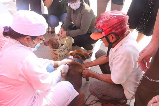 Người dân cần đưa chó, mèo đi tiêm phòng đầy đủ