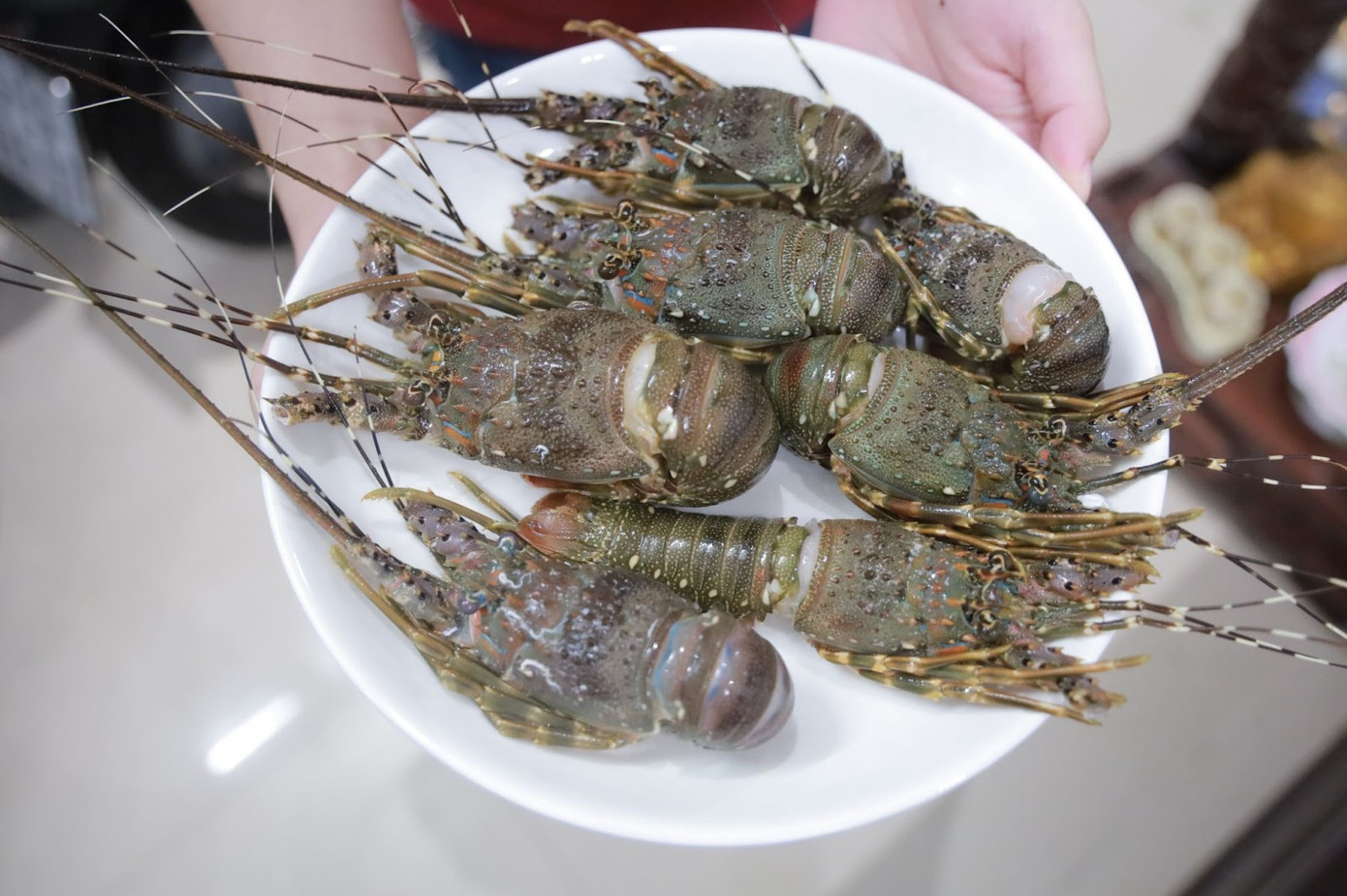 Tôm hùm được cấp đông khi giao cho khách, tuy nhiên một số con lộ rõ dấu hiệu bị ốp, vỏ rời khỏi thân, không được tươi ngon như quảng cáo