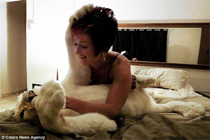 Cô chẳng hề cảm thấy nguy hiểm mỗi khi nô đùa với Timba trên giường ngủ của mình