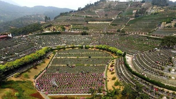 Giá đất nghĩa trang ở các TP lớn của Trung Quốc ngày ngày tăng cao. (Ảnh: Chinanews.com)