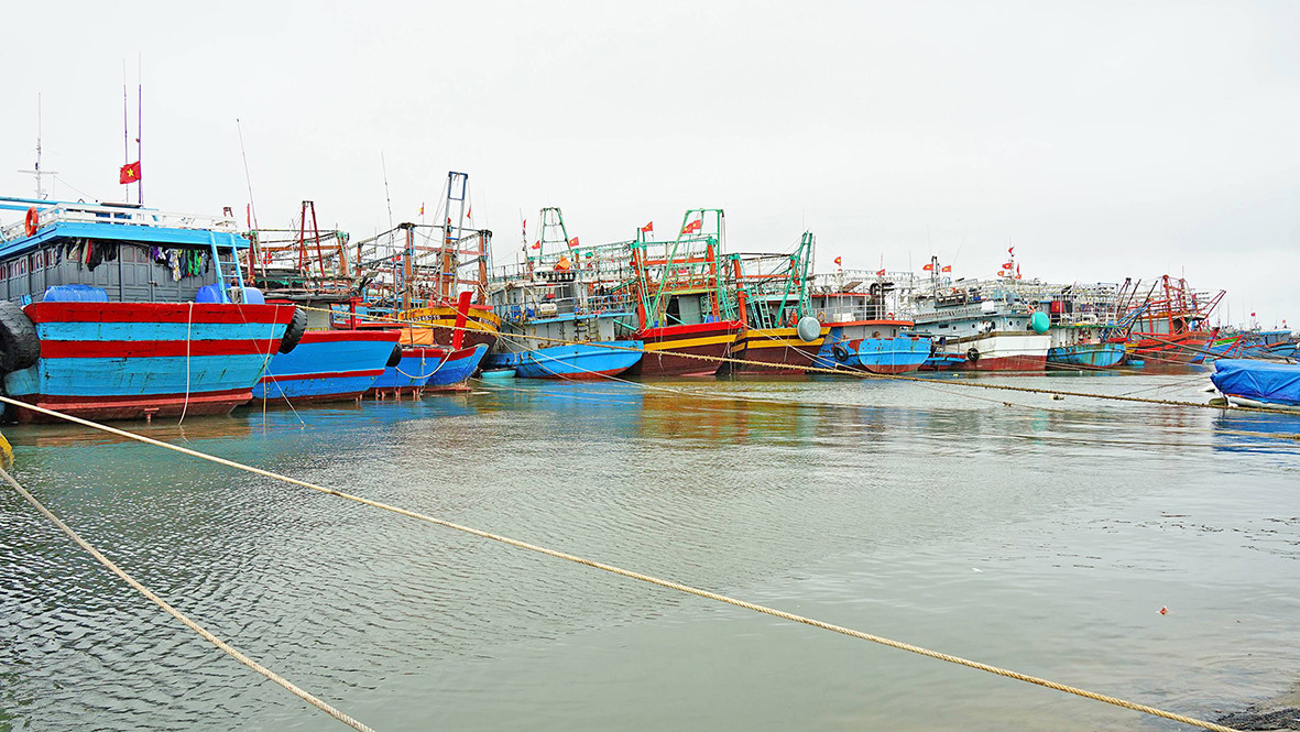 Nhiều tàu cá ở tỉnh Quảng Trị phải nằm bờ do thiếu nhân lực Nhiều tàu cá ở tỉnh Quảng Trị phải nằm bờ do thiếu nhân lực