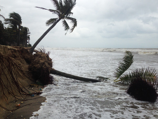 Không để thiên tai ảnh hưởng đến sự kiện APEC ảnh 3