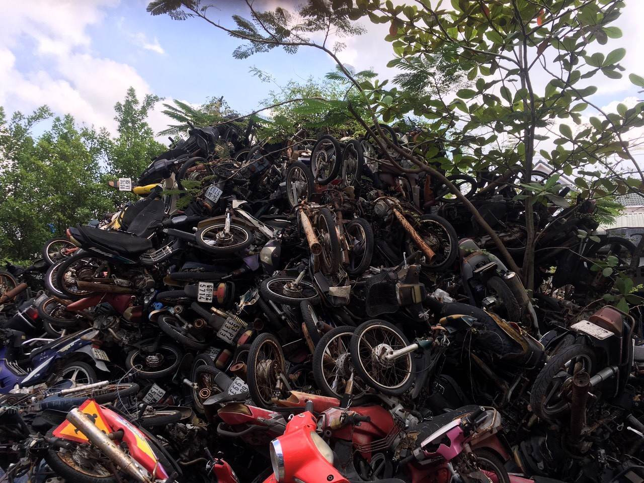 Lô 954 xe gắn máy hai bánh vi phạm ở huyện Hóc Môn đã được bán đấu giá thành công. Lô 954 xe gắn máy hai bánh vi phạm ở huyện Hóc Môn đã được bán đấu giá thành công.