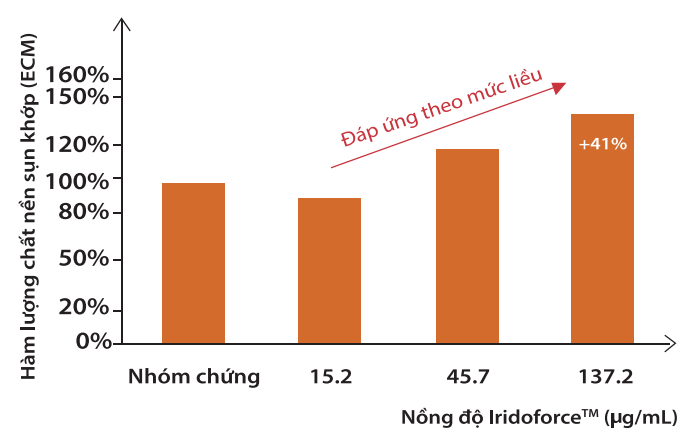 IridoforceTM giúp tăng tái tạo hàm lượng chất nền sụn khớp bên trong cơ thể lên 41%