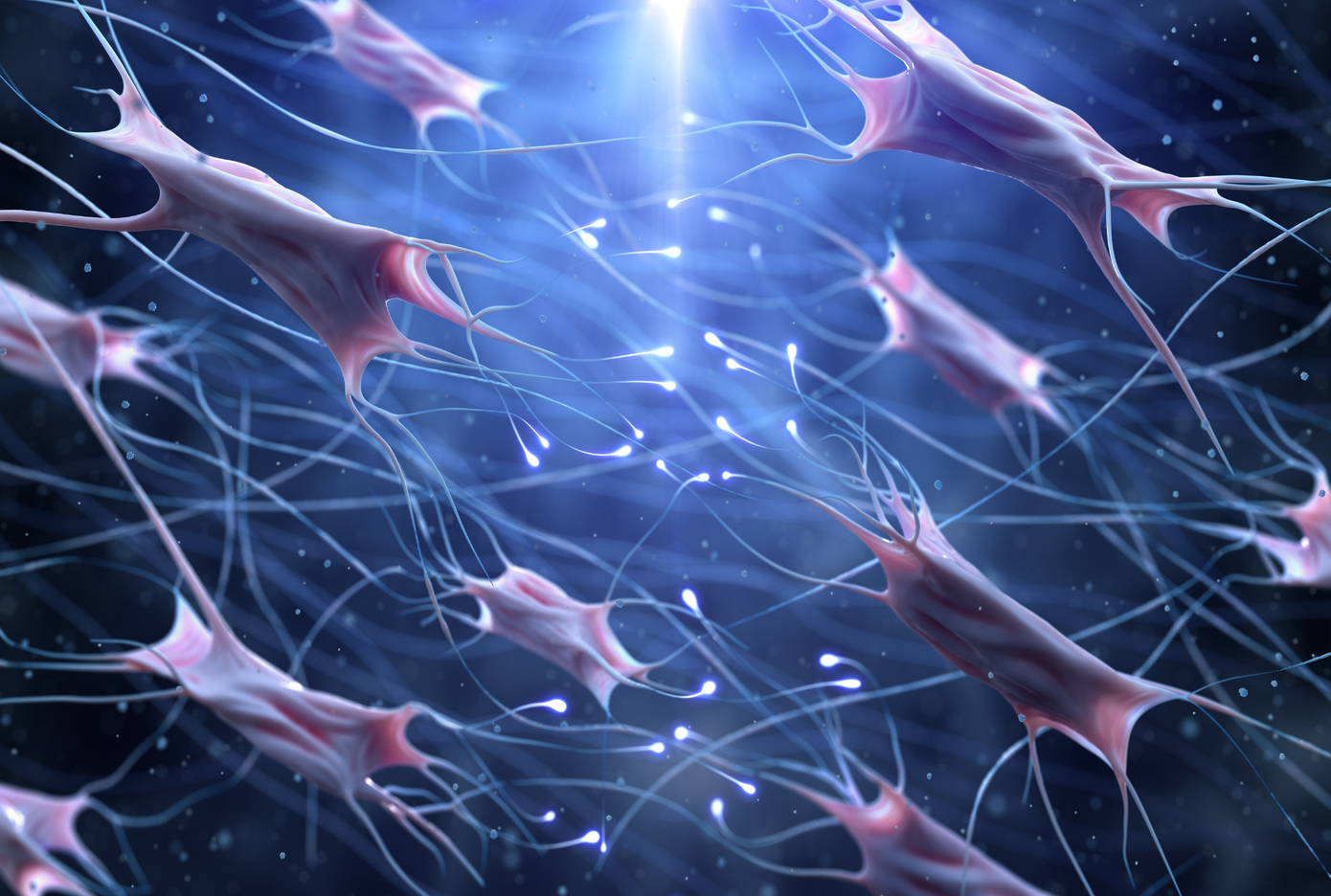 Trong các loại protein quan trọng nhất chính là collagen