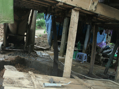 Nơi xay bột dong để làm miến chỉ cách cầu tiêu tự hoại chưa đầy 1m