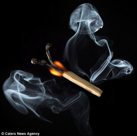 Tác phẩm nghệ thuật hình con bướm