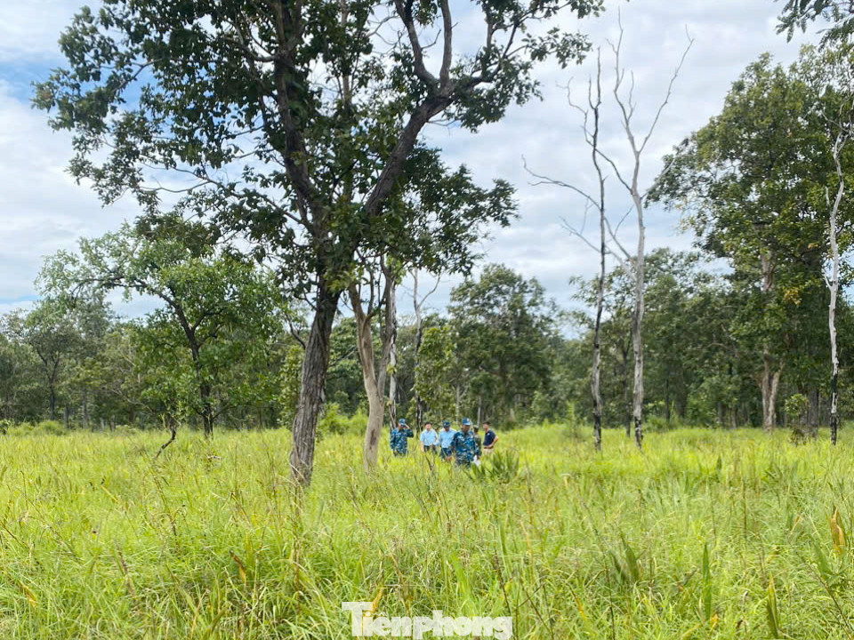 Sáng sớm 8/11, lực lượng chức năng khoanh vùng, tìm kiếm tại buôn Đrang Phốc, xã Krông Na, huyện Buôn Đôn.