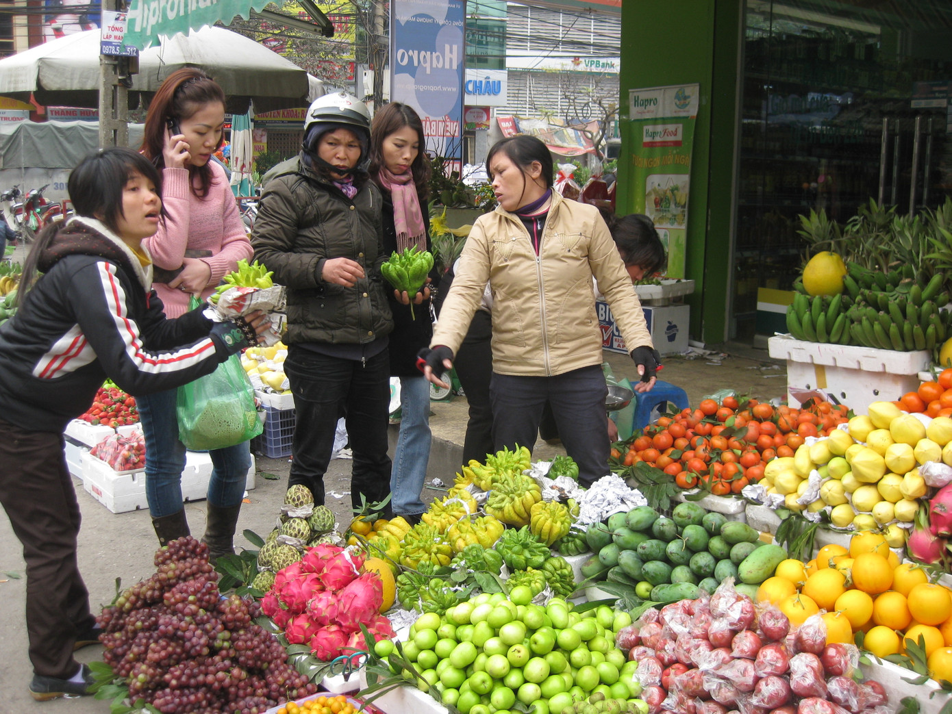 Phật thủ giá khá đắt nhưng được nhiều người chọn mua