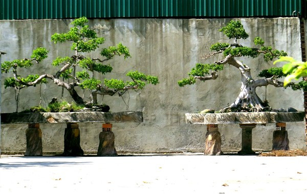 Bên trong biệt thự của nạn nhân vụ thảm án Bình Phước ảnh 10