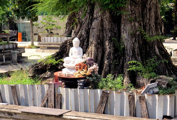 Bên trong biệt thự của nạn nhân vụ thảm án Bình Phước ảnh 7