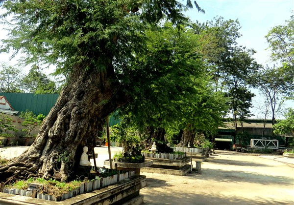 Bên trong biệt thự của nạn nhân vụ thảm án Bình Phước ảnh 8