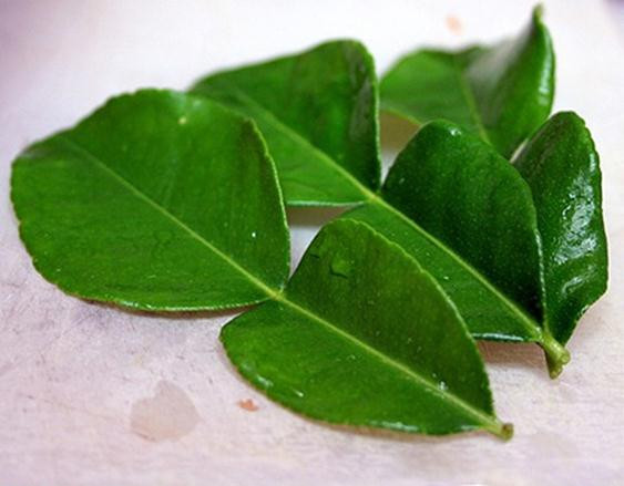 Ai không nên xông lá trị cảm cúm? ảnh 2