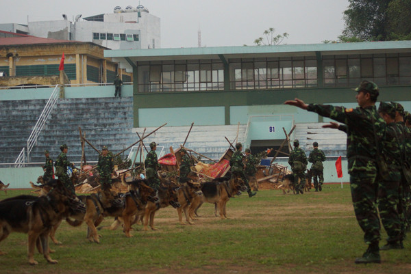 Lính Biên phòng trình diễn khí công, điều khiển chó chiến đấu ảnh 2