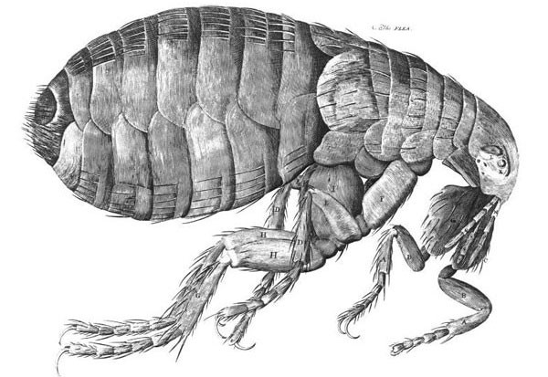 10 tấm hình khoa học làm thay đổi cách bạn nhìn nhận về thế giới ảnh 2