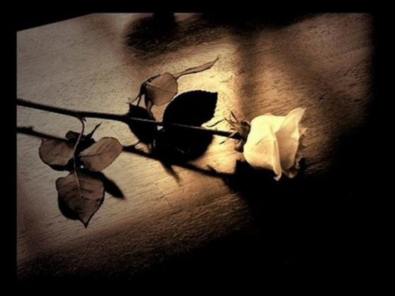 Xóa băng giang hồ lẫy lừng 'Năm bông hồng trắng' ảnh 3