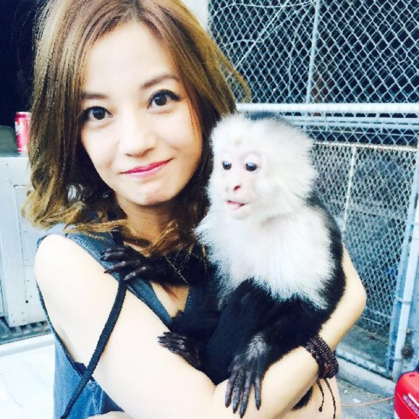 Hạng 7: Triệu Vy. Trước khi bị “phong sát ngầm”, nàng “đại hoa đán” có thu nhập 1,3997 tỷ nhân dân tệ (219,7 triệu USD) trong giai đoạn 2017 – 2020. Hạng 7: Triệu Vy. Trước khi bị “phong sát ngầm”, nàng “đại hoa đán” có thu nhập 1,3997 tỷ nhân dân tệ (219,7 triệu USD) trong giai đoạn 2017 – 2020.