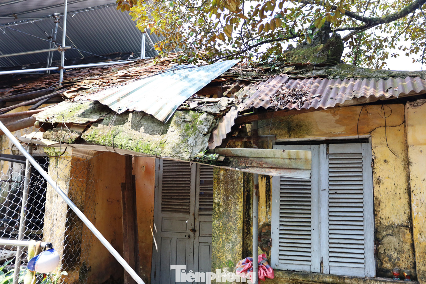 Những cành cây hoang dại, già nua phủ lên những mái nhà cũ kỹ, với khe tường nứt nẻ, quấn quanh không gian ảm đạm như một vòng tay lạnh lẽo của thời gian, ôm lấy những tàn tích quá khứ. Những cành cây hoang dại, già nua phủ lên những mái nhà cũ kỹ, với khe tường nứt nẻ, quấn quanh không gian ảm đạm như một vòng tay lạnh lẽo của thời gian, ôm lấy những tàn tích quá khứ.