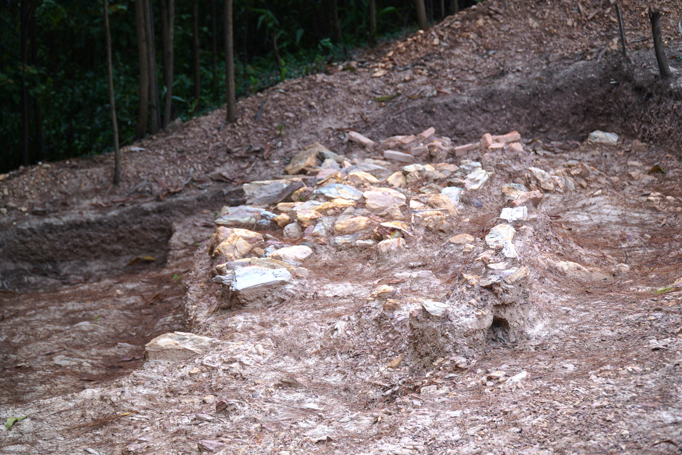 Việc khảo cổ đã xuất lộ thêm nhiều dấu tích về các đoạn móng bờ kè, bậc cấp, đường ta luy, các dấu vết chân đế đàn Nam Giao triều Tây Sơn tại Huế.